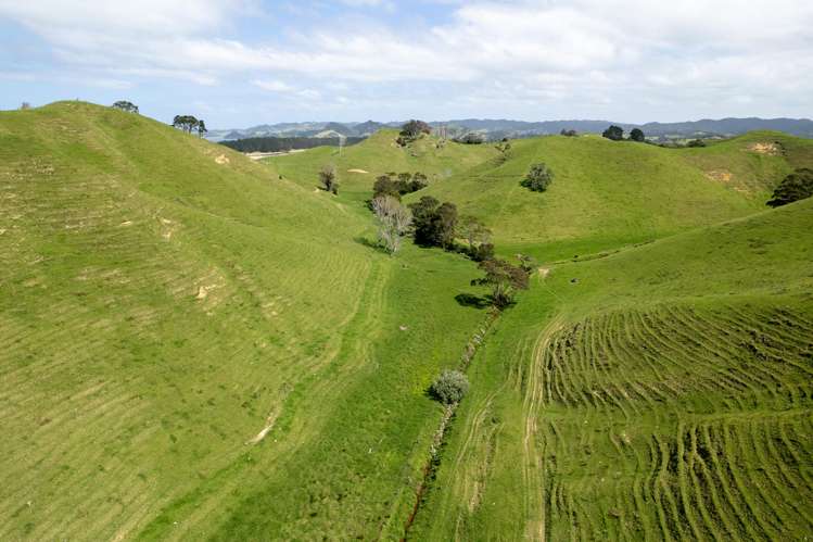 Lot 1 Rockell Road Whananaki_13