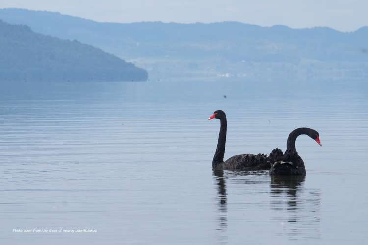 587c Hamurana Road Hamurana_4