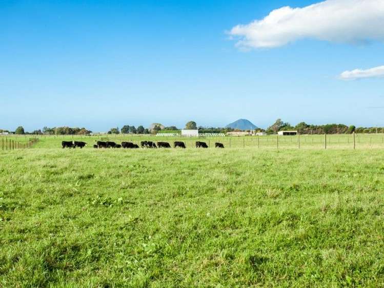 775 Thornton Road Thornton_5