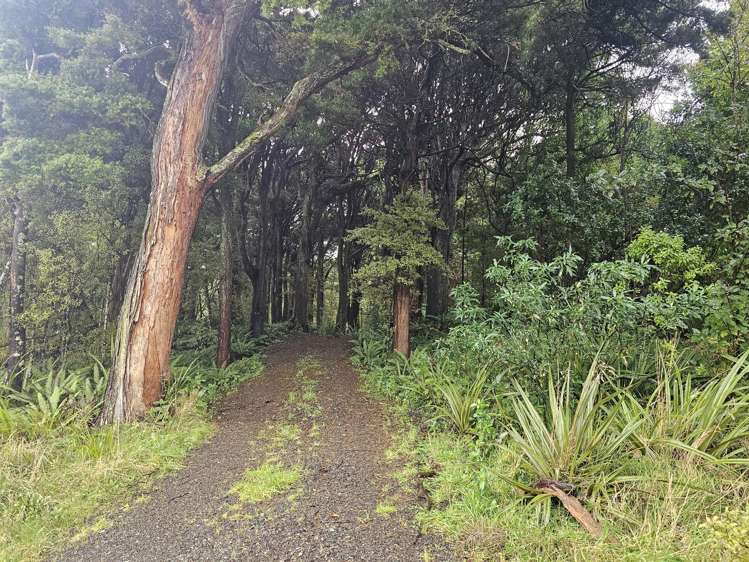 26 Rakiura Parade Otatara_18