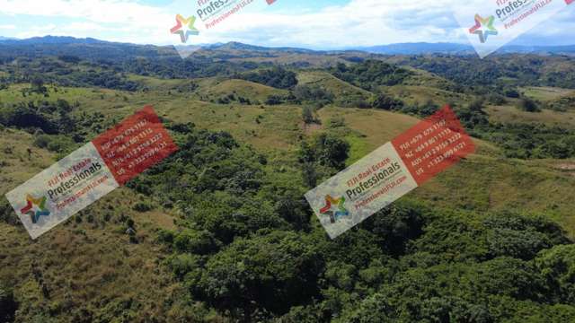 Address withheld Sigatoka_4