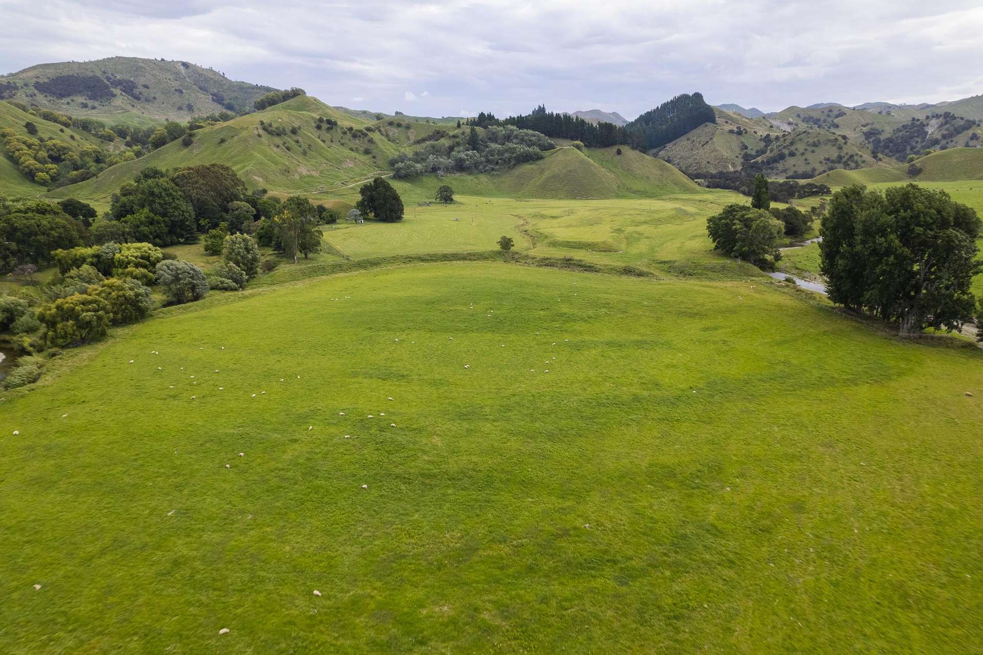 Mahaki Settlement Road Te Karaka_0