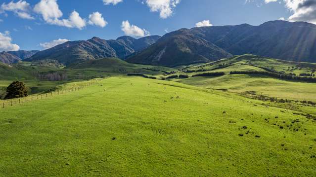 463 Gull Flat Road Central Hawkes Bay Country_2