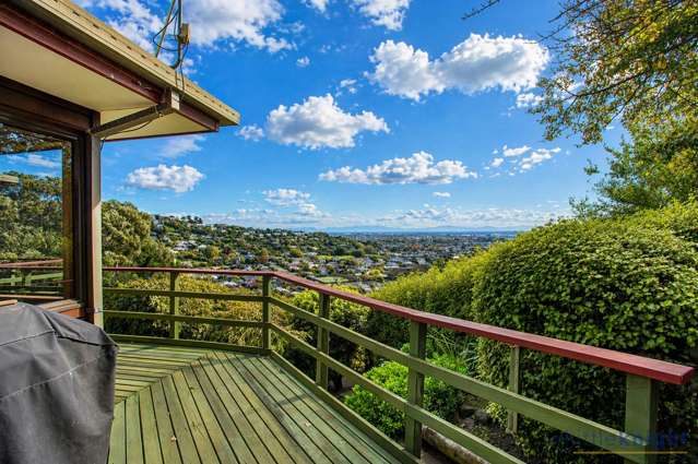 37 Rapaki Road Hillsborough_1