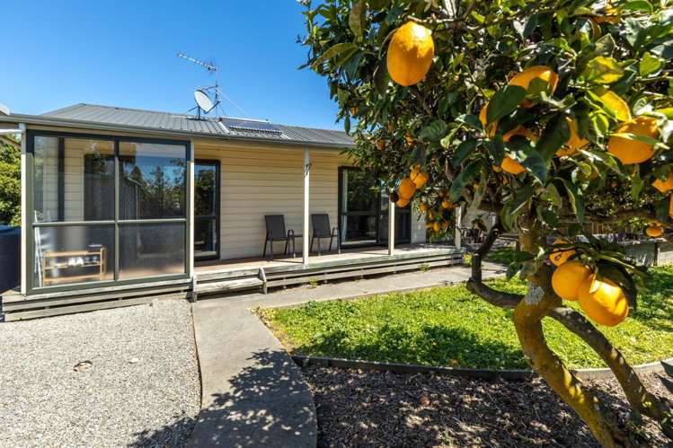 28A Lane Street Blenheim_2