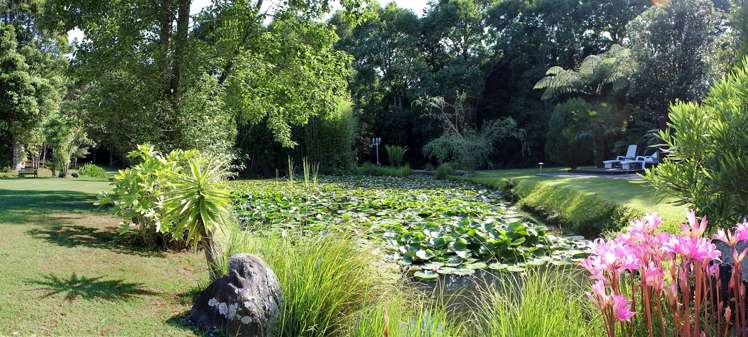 444 Wentworth Valley Road Whangamata_5