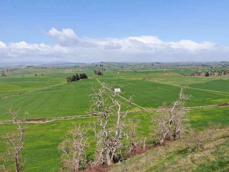 1375 State Highway 3 Otorohanga_21