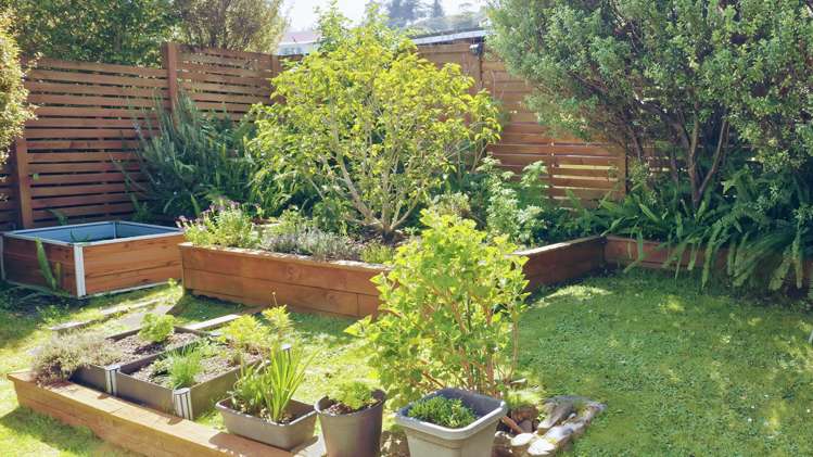 224 Waikiekie Road Thames_21