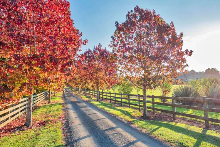 1041 Old North Road Waimauku_55