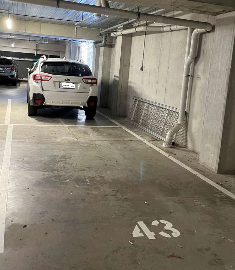 114/27 Enfield Street Mount Eden_18