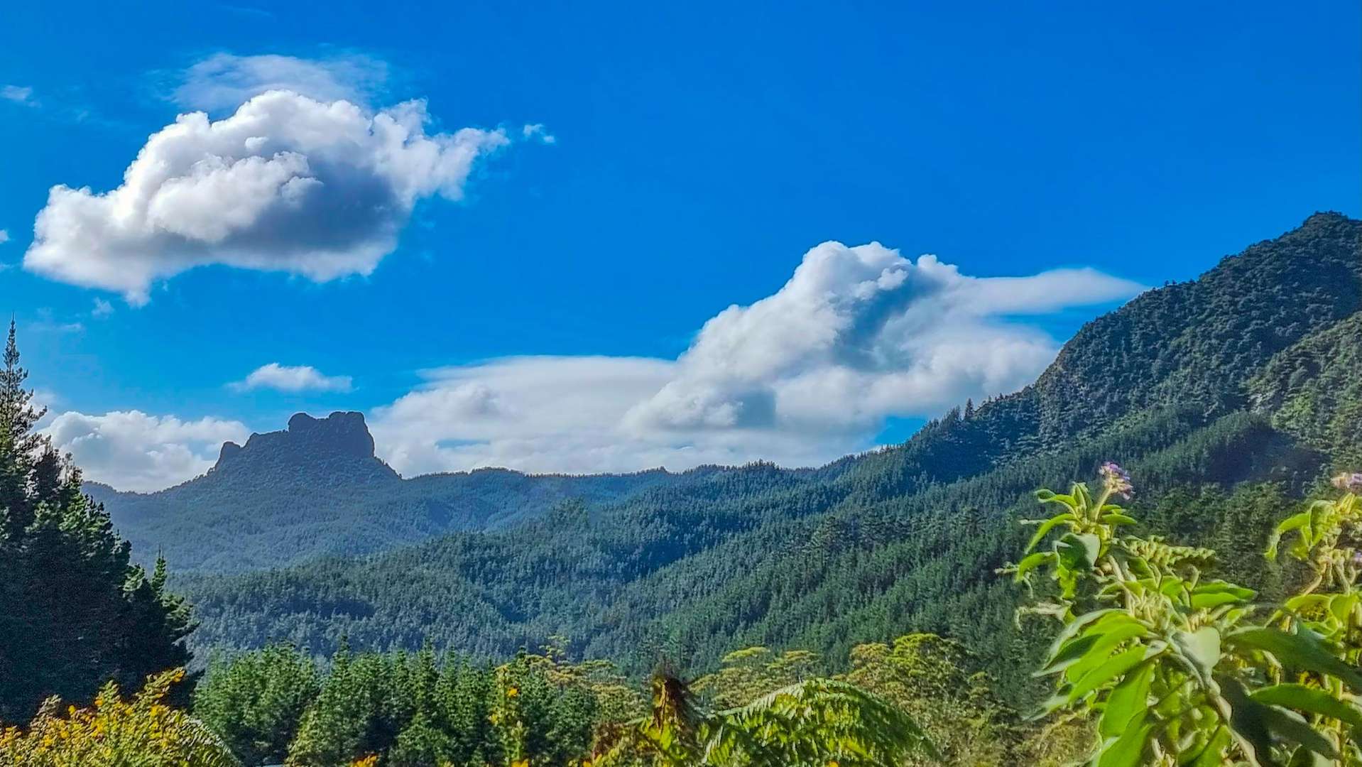 694 The 309 Road, Waiau Coromandel_0