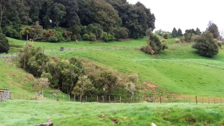 86 Mairoa Road Piopio_10