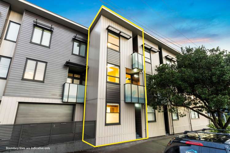 16 Harold Street Mount Eden_18