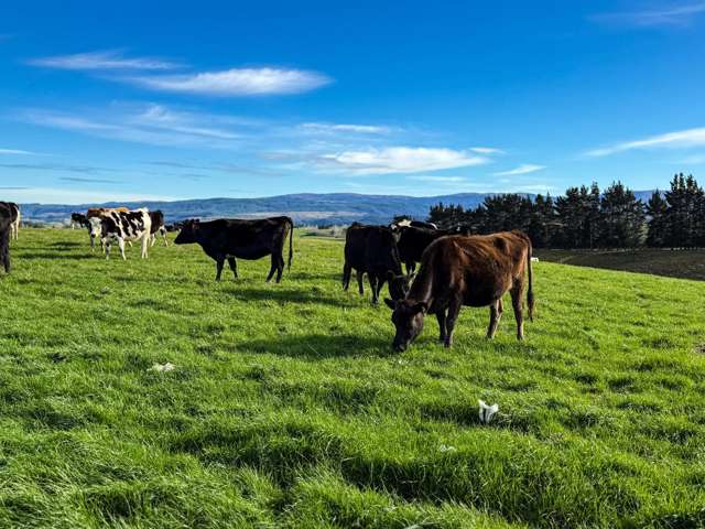 140 + 612 Reserve Road Tuapeka Mouth_3