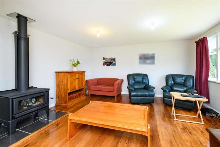 25 Flower Street Bulls_8