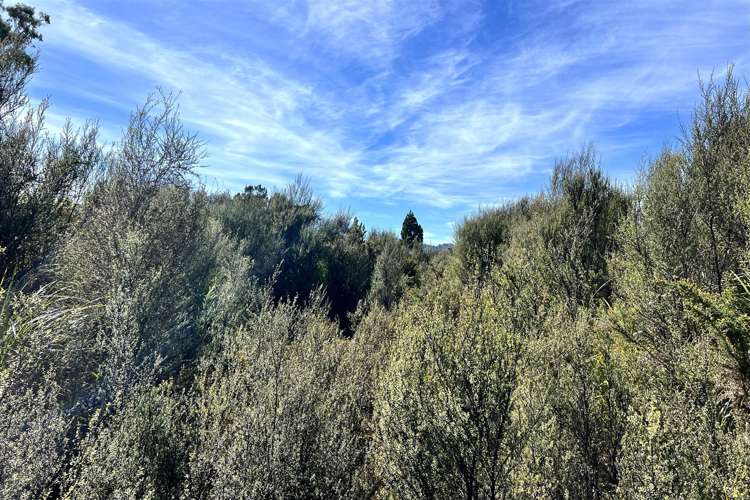 Arnott Heights Greymouth_8