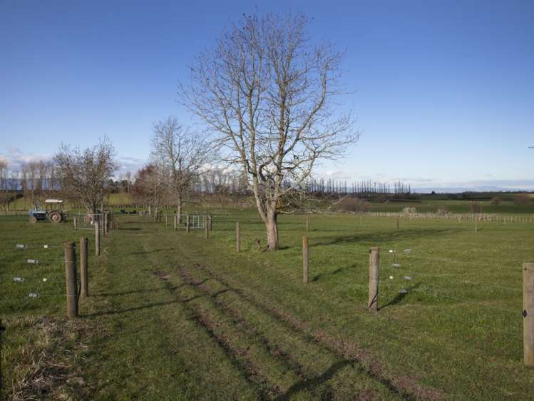 592 Morrinsville-Tahuna Road Morrinsville_21