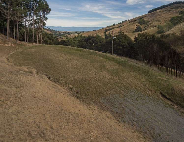 584 Wakapuaka Road Wakapuaka_15