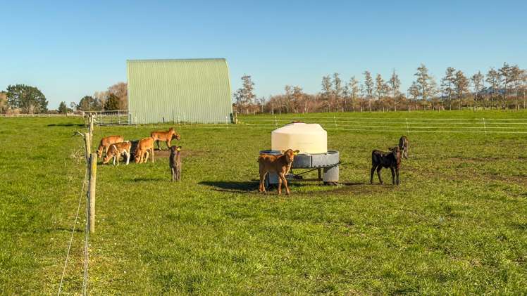 6379 State Highway 26, Tirohia Paeroa_12
