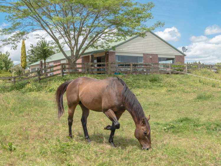 17 Sandes Street Ohaupo_0