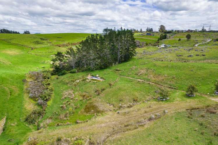 183A Wiroa Road Kerikeri_9
