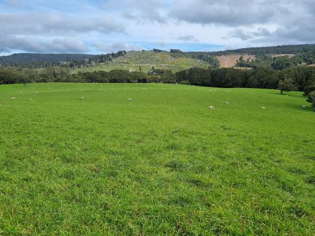 Tahakopa Valley Road Catlins Surrounds_1