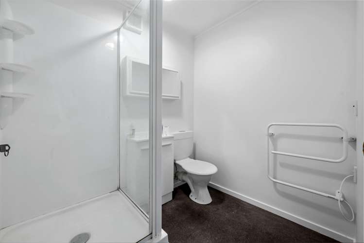 43 Durham Street Picton_16