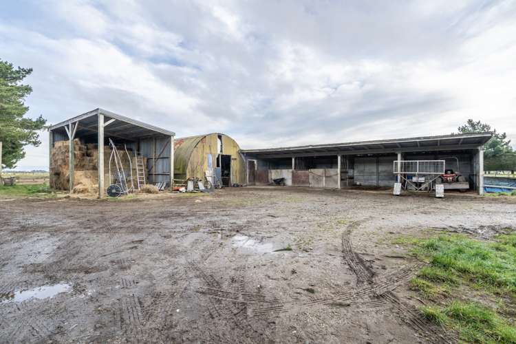 492 Lorne Dacre Road Roslyn Bush_18