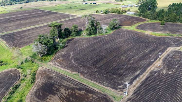 40 Rona Road Brixton_20