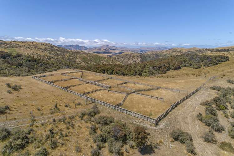 175 Mendip Road Cheviot_13