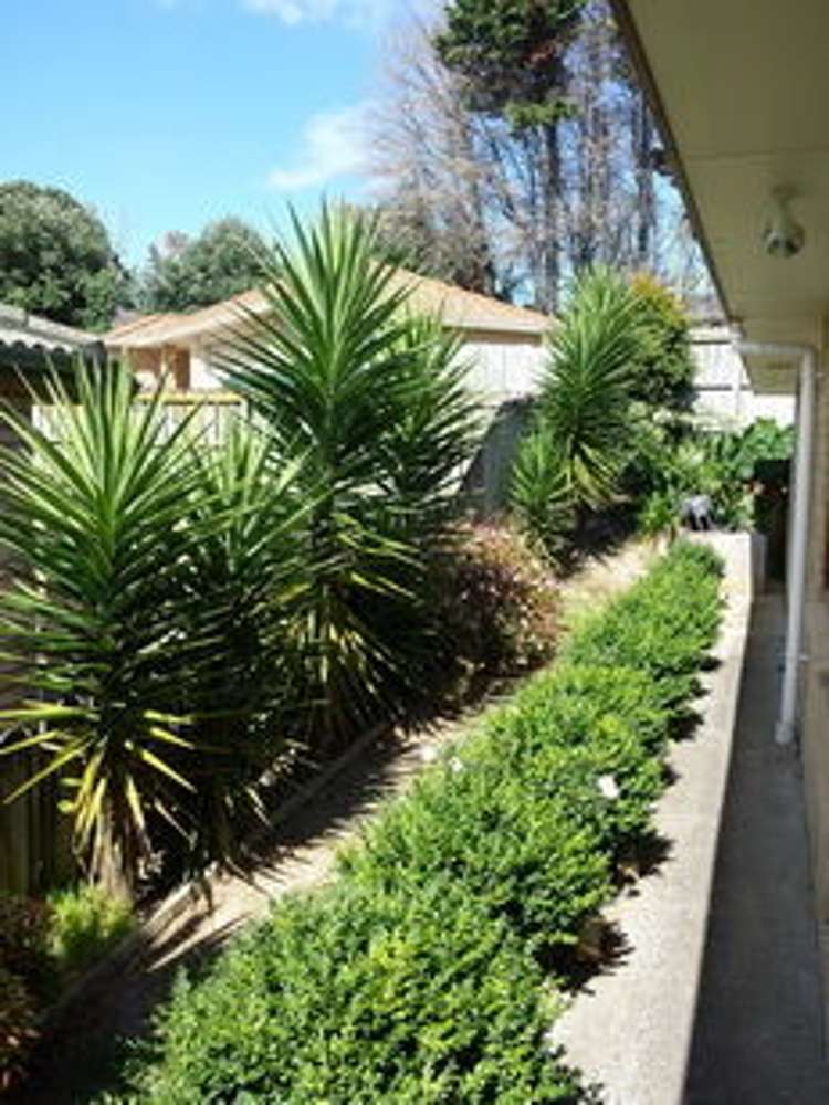 41 Castlefinn Drive Manurewa_6