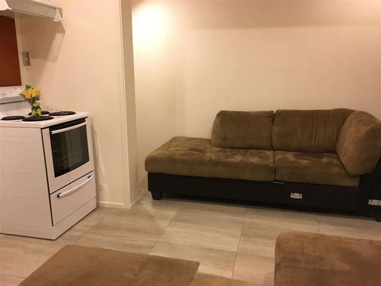 3 Katavich Place Mount Roskill_5