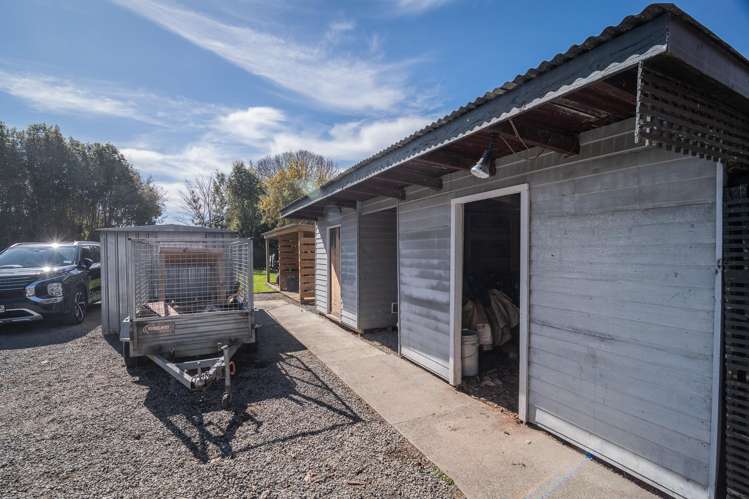 2 Vernon Street Winchester_13
