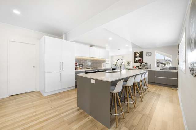 29 Glen Avenue Papatoetoe_3