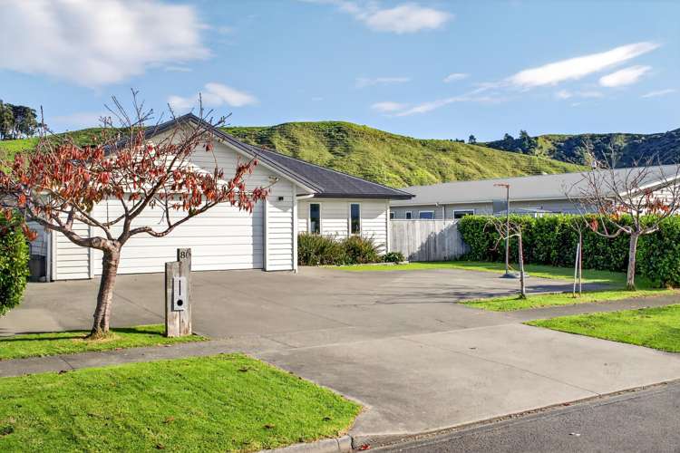 80 Hamilton Drive_0