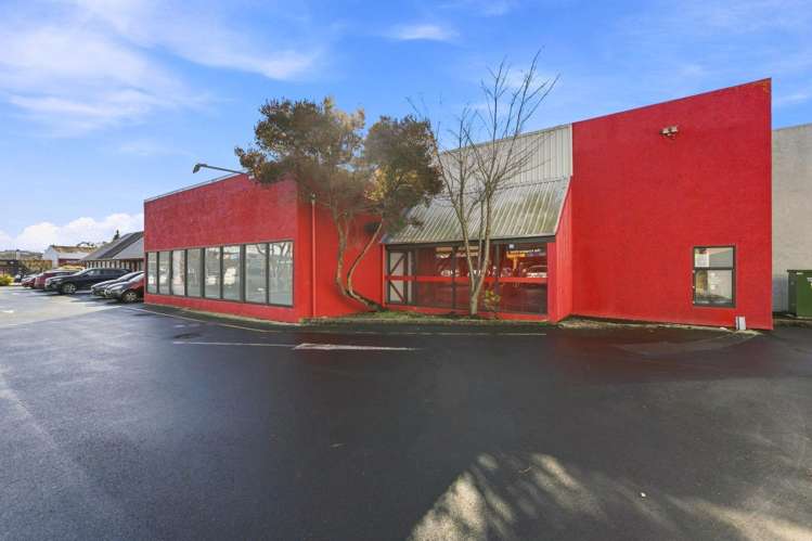 161 Gordon Road Dunedin Central_2