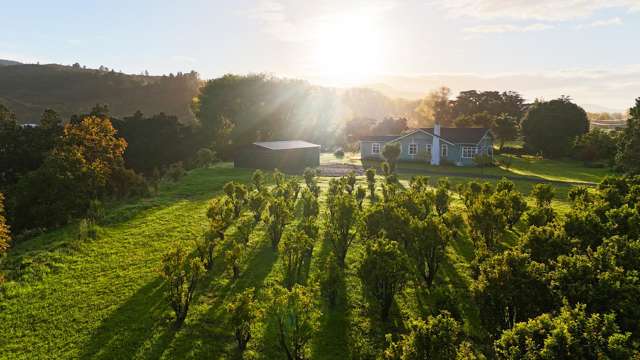 Ahikiwi Orchard: Northland's Hidden Treasure