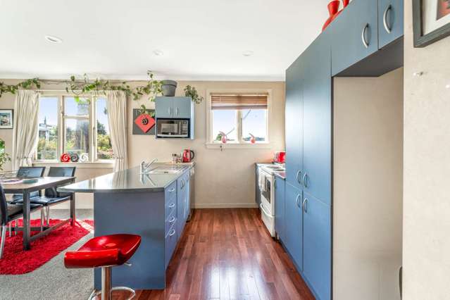 157 Broughton Street Gore_3