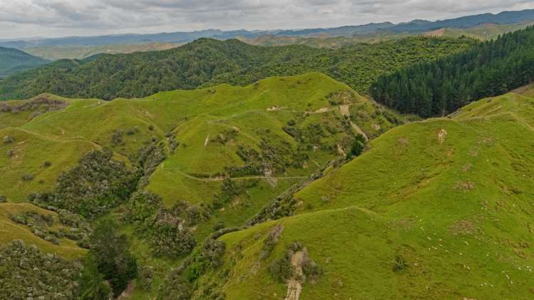 240 Agnews Road Hunterville_13