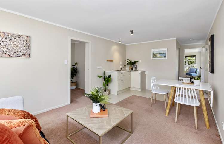 19 Norwich Street Wadestown_8