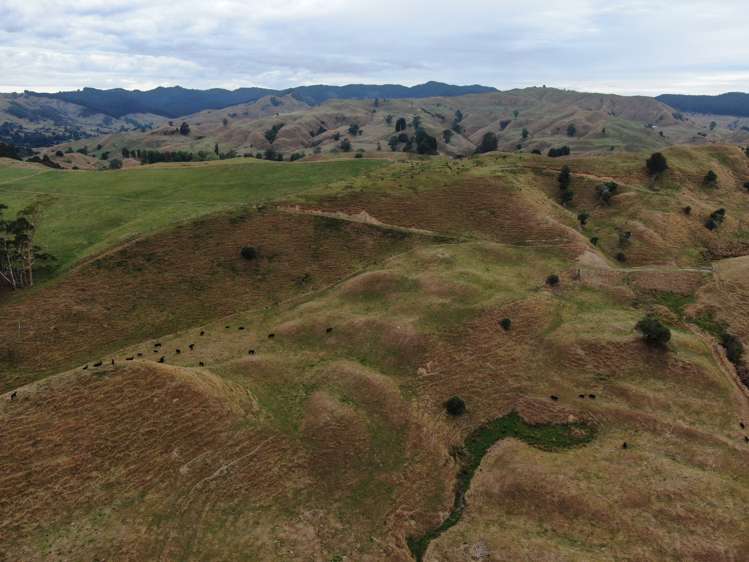 3062 State Highway 4 Aria_7