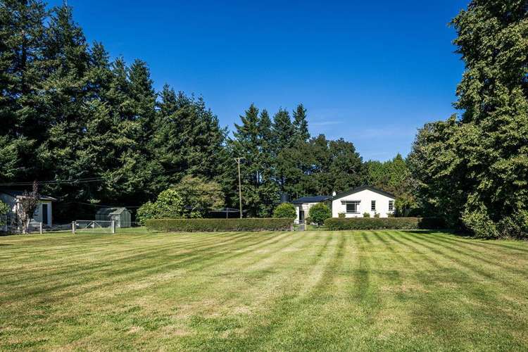 1710 Ealing Montalto Road Ashburton_17