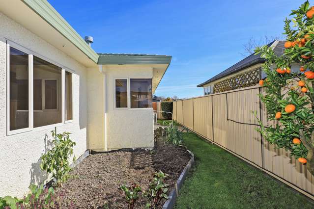 1C Avondale Road Taradale_2