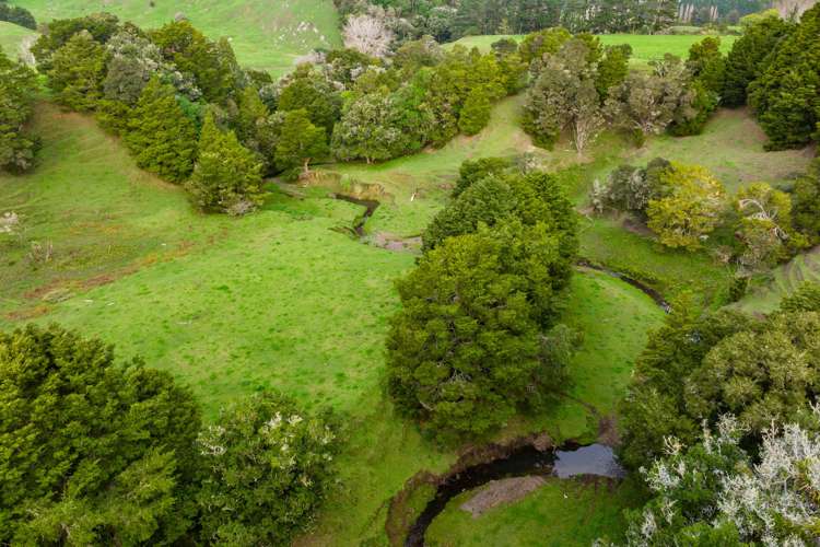 Omana Road Tangiteroria_16