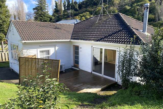 203 Karaka Road Thames_1