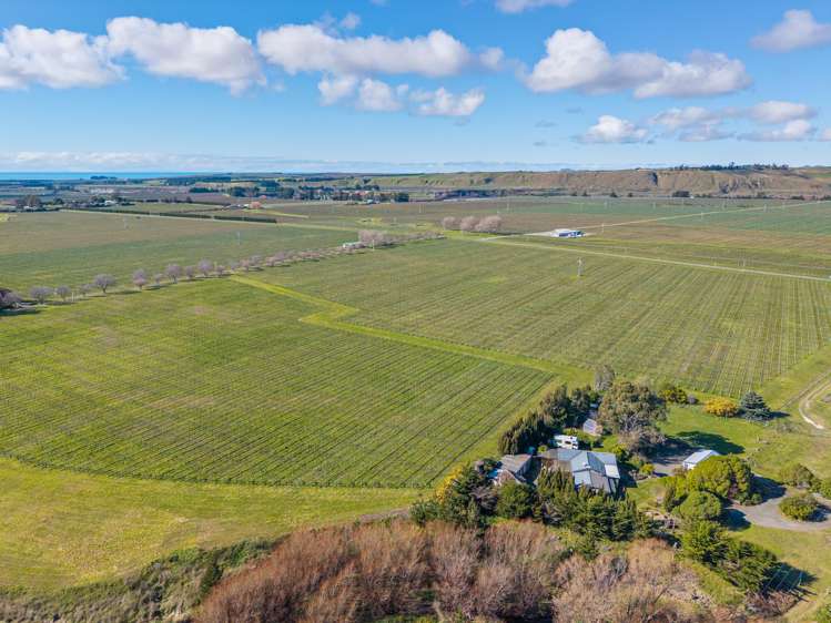 1960 Redwood Pass Road Seddon_39