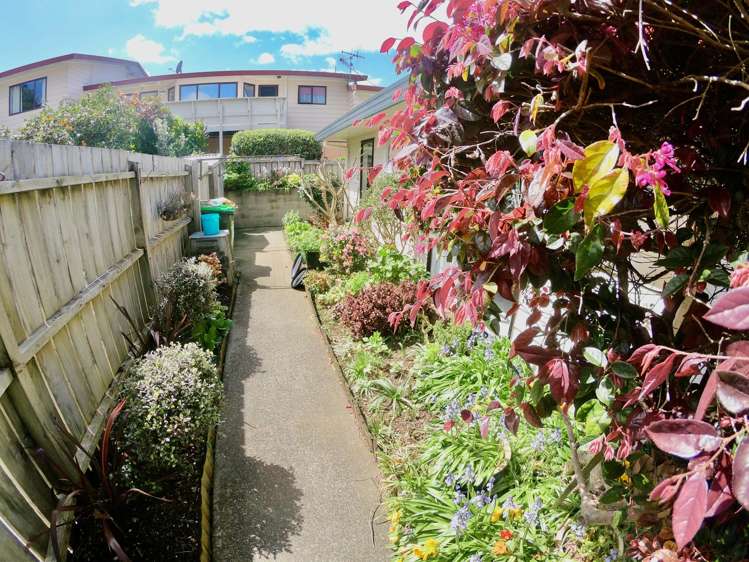 4b Braintree Street Kamo_2