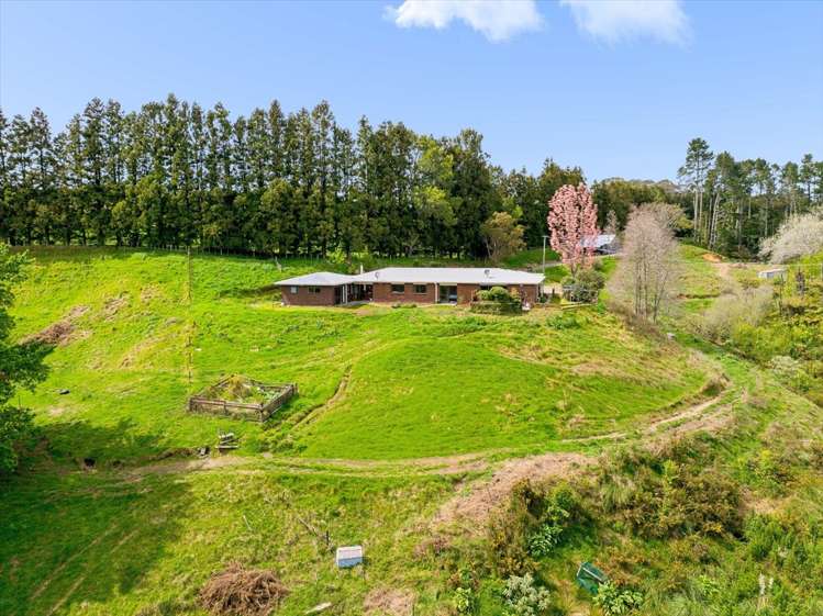 1538 State Highway 2 Whakamarama_32