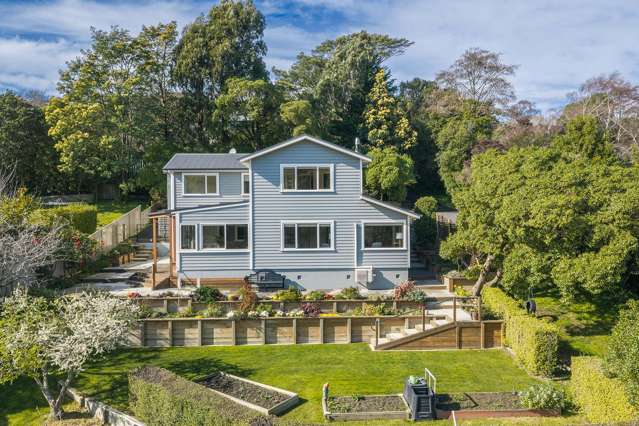 2 Leyden Terrace Andersons Bay_1