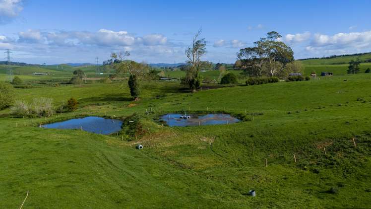 8 Mackay Road Maramarua Forest_16